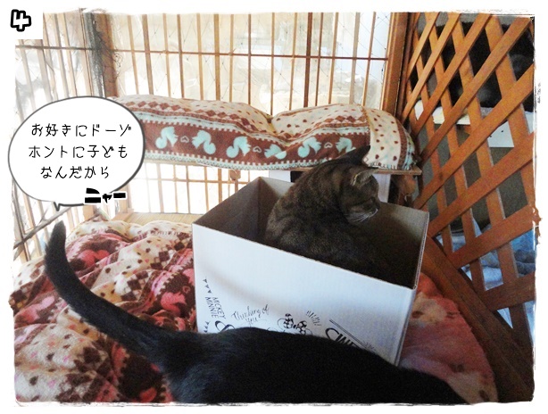 f:id:nyan-chuke:20191014130605j:plain f:id:nyan-chuke:20191014130605j:plain