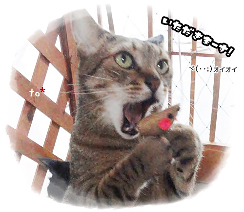 f:id:nyan-chuke:20191014135152j:plain f:id:nyan-chuke:20191014135152j:plain