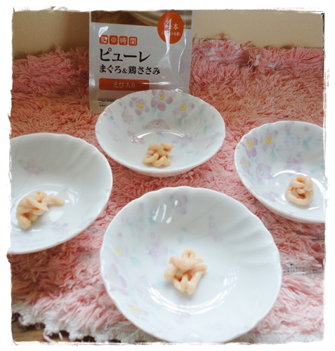 f:id:nyan-chuke:20191014150251j:plain f:id:nyan-chuke:20191014150251j:plain