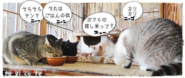 f:id:nyan-chuke:20191015215010j:plain f:id:nyan-chuke:20191015215010j:plain