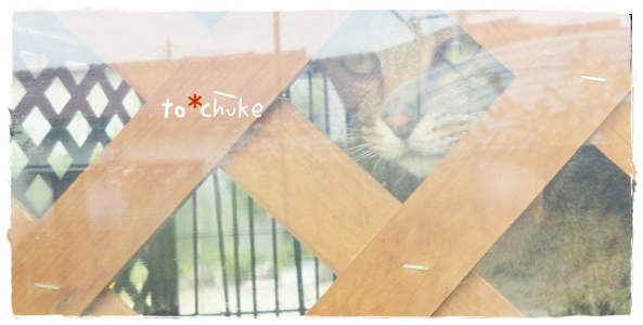 f:id:nyan-chuke:20191017190340j:plain f:id:nyan-chuke:20191017190340j:plain