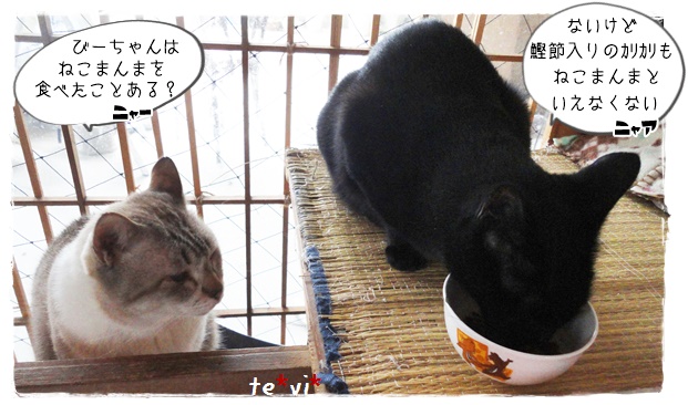 f:id:nyan-chuke:20191018211209j:plain f:id:nyan-chuke:20191018211209j:plain