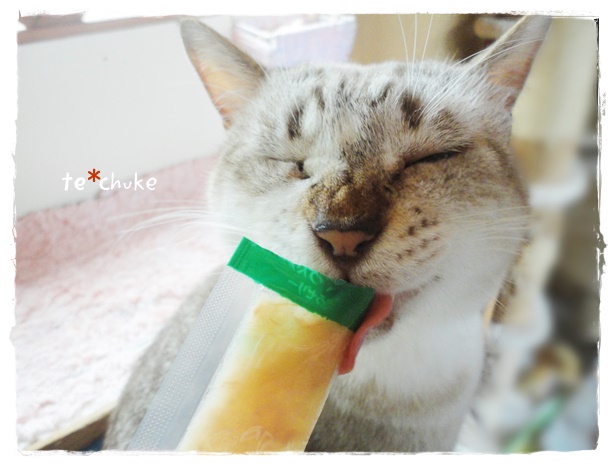 f:id:nyan-chuke:20191021191442j:plain f:id:nyan-chuke:20191021191442j:plain