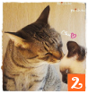 f:id:nyan-chuke:20191029144009p:plain f:id:nyan-chuke:20191029144009p:plain