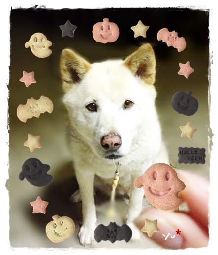 f:id:nyan-chuke:20191030071822j:plain f:id:nyan-chuke:20191030071822j:plain