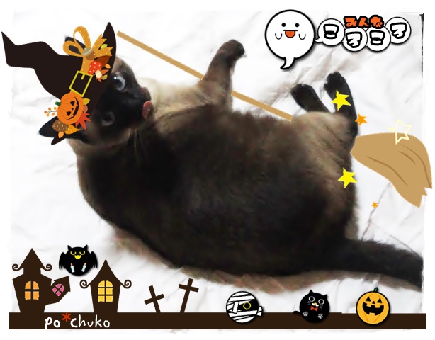 f:id:nyan-chuke:20191030150949j:plain f:id:nyan-chuke:20191030150949j:plain