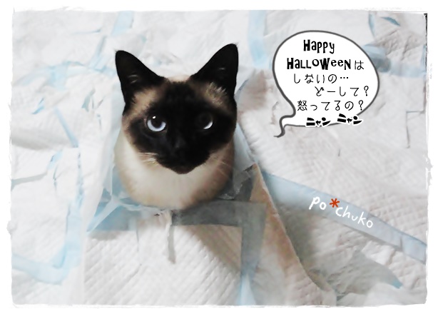 f:id:nyan-chuke:20191030202949j:plain f:id:nyan-chuke:20191030202949j:plain