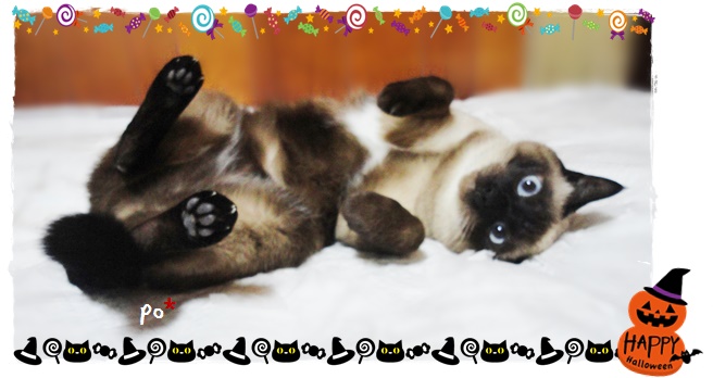 f:id:nyan-chuke:20191030212458j:plain f:id:nyan-chuke:20191030212458j:plain