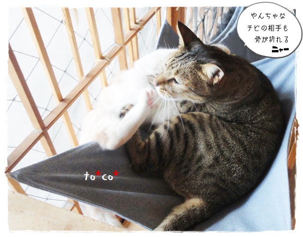 f:id:nyan-chuke:20191108220410j:plain f:id:nyan-chuke:20191108220410j:plain