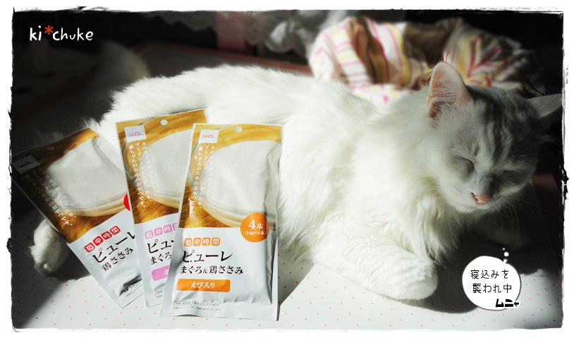 f:id:nyan-chuke:20191109140120j:plain f:id:nyan-chuke:20191109140120j:plain