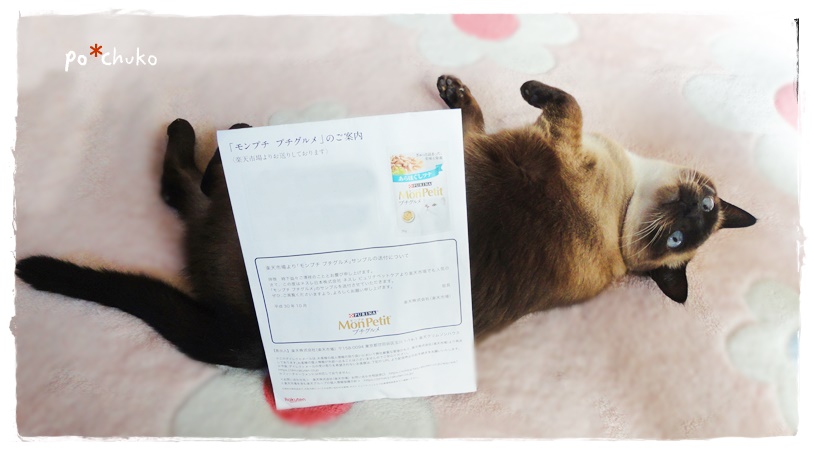 f:id:nyan-chuke:20191110012205j:plain f:id:nyan-chuke:20191110012205j:plain