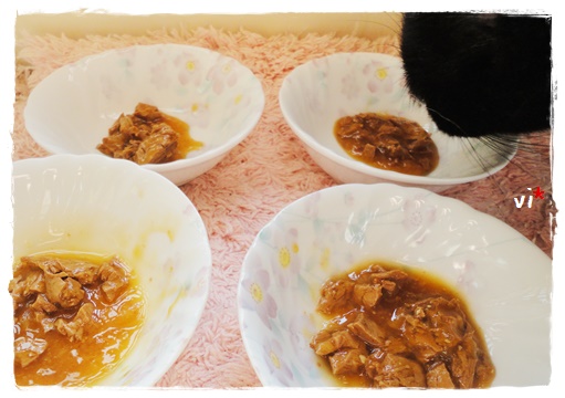 f:id:nyan-chuke:20191110125408j:plain f:id:nyan-chuke:20191110125408j:plain