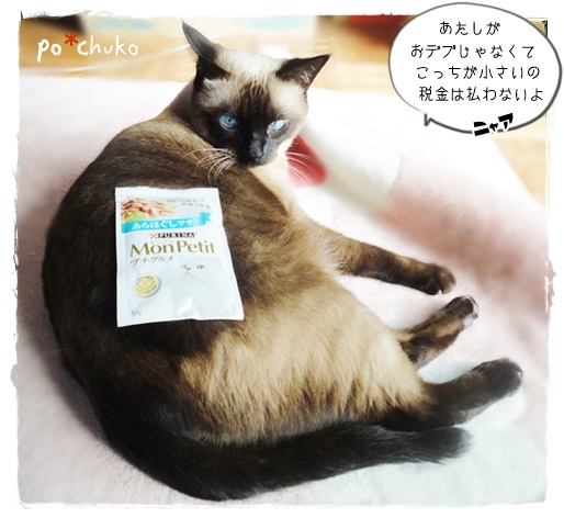 f:id:nyan-chuke:20191110141239j:plain f:id:nyan-chuke:20191110141239j:plain