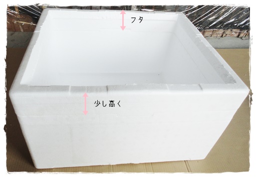 f:id:nyan-chuke:20191118153424j:plain f:id:nyan-chuke:20191118153424j:plain