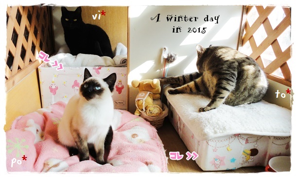 f:id:nyan-chuke:20191204001404j:plain f:id:nyan-chuke:20191204001404j:plain