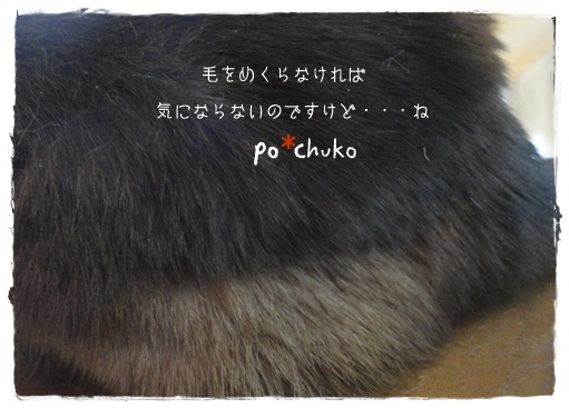 f:id:nyan-chuke:20191204002916j:plain f:id:nyan-chuke:20191204002916j:plain