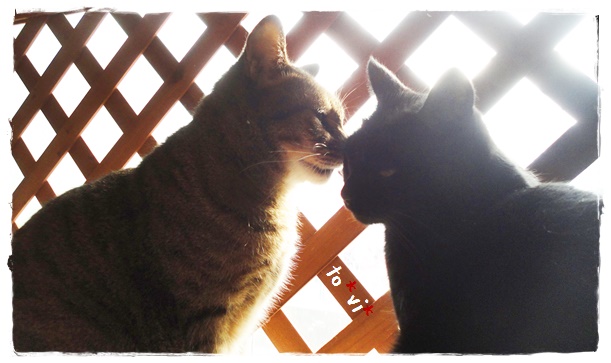 f:id:nyan-chuke:20191205211840j:plain f:id:nyan-chuke:20191205211840j:plain
