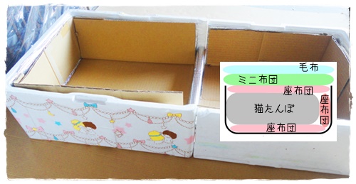 f:id:nyan-chuke:20191205221528j:plain f:id:nyan-chuke:20191205221528j:plain