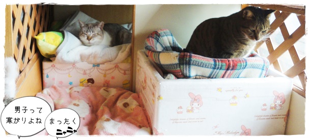 f:id:nyan-chuke:20191205222843j:plain f:id:nyan-chuke:20191205222843j:plain