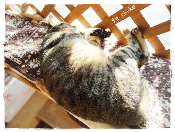 f:id:nyan-chuke:20191213232319j:plain f:id:nyan-chuke:20191213232319j:plain
