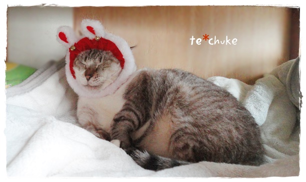 f:id:nyan-chuke:20191226221845j:plain f:id:nyan-chuke:20191226221845j:plain