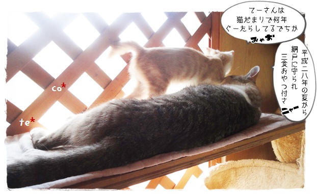 f:id:nyan-chuke:20200104153232j:plain f:id:nyan-chuke:20200104153232j:plain