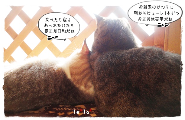 f:id:nyan-chuke:20200104201324j:plain f:id:nyan-chuke:20200104201324j:plain