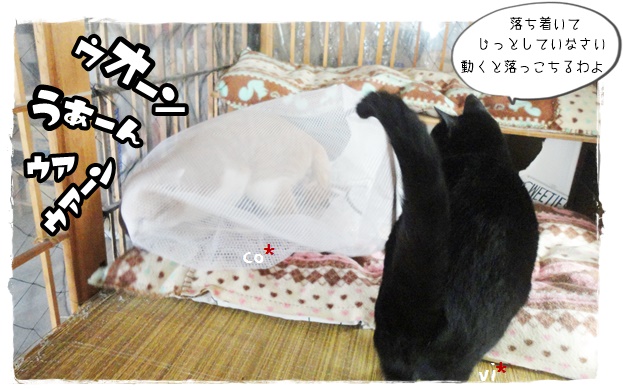f:id:nyan-chuke:20200105145837j:plain f:id:nyan-chuke:20200105145837j:plain