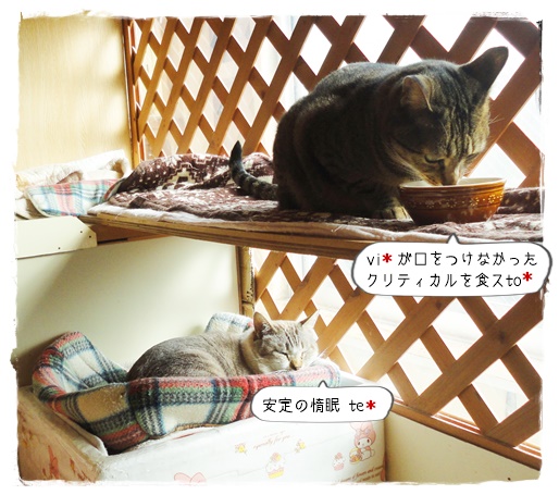 f:id:nyan-chuke:20200105153020j:plain f:id:nyan-chuke:20200105153020j:plain