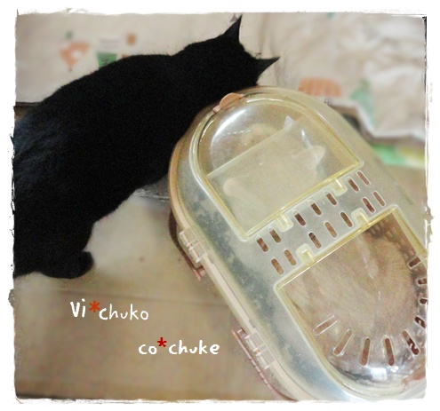f:id:nyan-chuke:20200105153133j:plain f:id:nyan-chuke:20200105153133j:plain