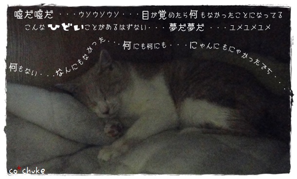 f:id:nyan-chuke:20200105202433j:plain f:id:nyan-chuke:20200105202433j:plain