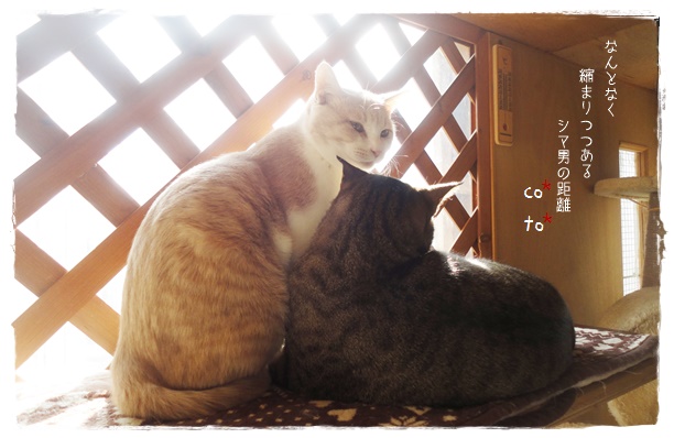 f:id:nyan-chuke:20200105223847j:plain f:id:nyan-chuke:20200105223847j:plain