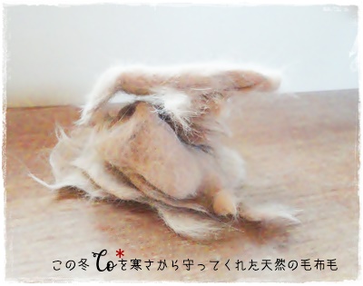 f:id:nyan-chuke:20200702142925j:plain f:id:nyan-chuke:20200702142925j:plain
