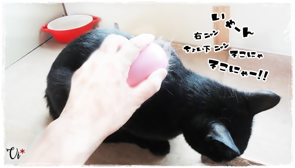 f:id:nyan-chuke:20200703225245j:plain f:id:nyan-chuke:20200703225245j:plain