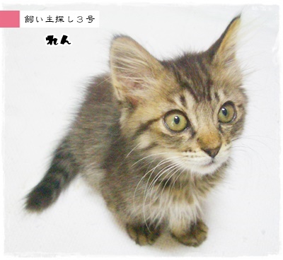 f:id:nyan-chuke:20200708145057j:plain f:id:nyan-chuke:20200708145057j:plain