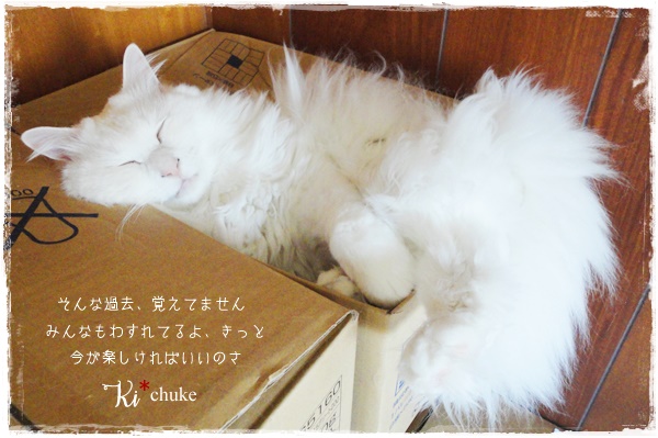 f:id:nyan-chuke:20200708225239j:plain