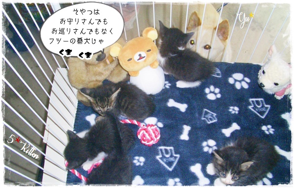 f:id:nyan-chuke:20200709132106j:plain
