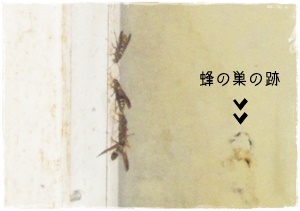 f:id:nyan-chuke:20200720123615j:plain f:id:nyan-chuke:20200720123615j:plain