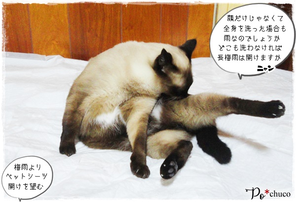 f:id:nyan-chuke:20200720205458j:plain f:id:nyan-chuke:20200720205458j:plain