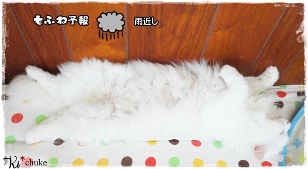 f:id:nyan-chuke:20200721221423j:plain f:id:nyan-chuke:20200721221423j:plain