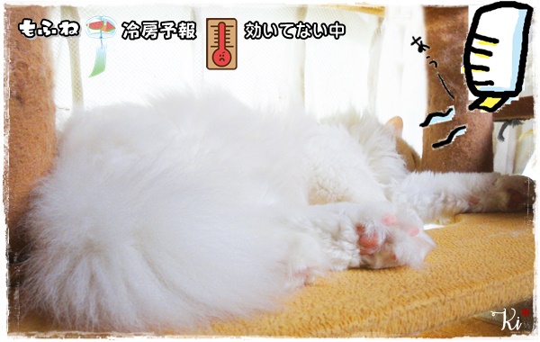 f:id:nyan-chuke:20200722165458j:plain f:id:nyan-chuke:20200722165458j:plain