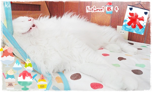 f:id:nyan-chuke:20200723142634j:plain f:id:nyan-chuke:20200723142634j:plain