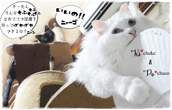 f:id:nyan-chuke:20200723142750j:plain f:id:nyan-chuke:20200723142750j:plain