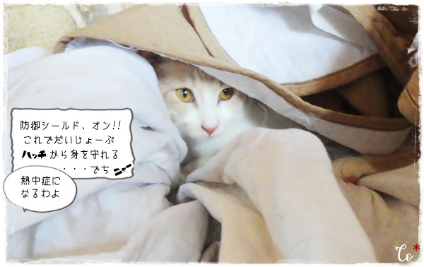 f:id:nyan-chuke:20200723160946j:plain f:id:nyan-chuke:20200723160946j:plain
