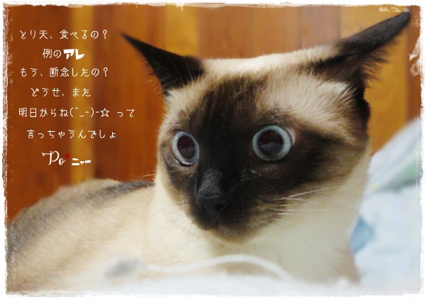 f:id:nyan-chuke:20200725204316j:plain f:id:nyan-chuke:20200725204316j:plain