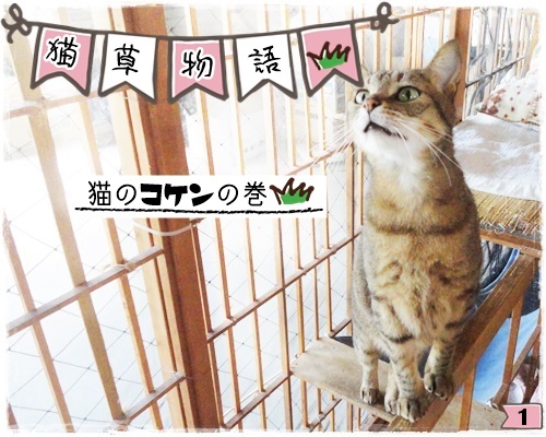f:id:nyan-chuke:20200806191749j:plain f:id:nyan-chuke:20200806191749j:plain