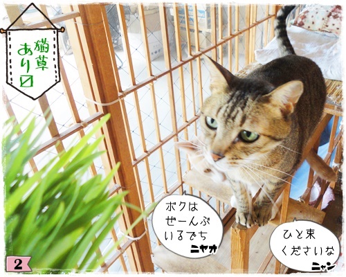 f:id:nyan-chuke:20200806191758j:plain f:id:nyan-chuke:20200806191758j:plain