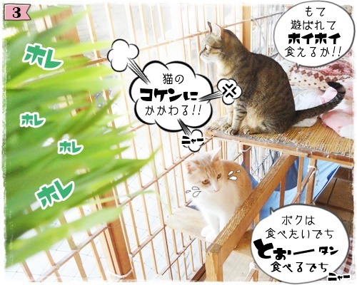 f:id:nyan-chuke:20200806192424j:plain f:id:nyan-chuke:20200806192424j:plain