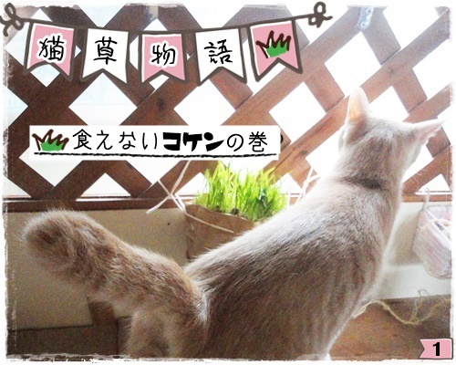 f:id:nyan-chuke:20200806193814j:plain f:id:nyan-chuke:20200806193814j:plain