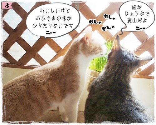 f:id:nyan-chuke:20200806193838j:plain f:id:nyan-chuke:20200806193838j:plain